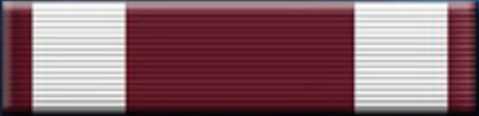 MSM Badge